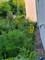 20230518_203334(0).jpg