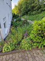 20230518_202813.jpg