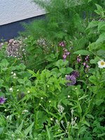 20230518_203058.jpg