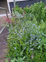 20230518_203116.webp