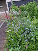 20230518_203116.jpg
