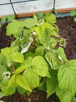 IMG_20230519_104956_105.webp