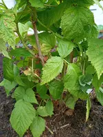 IMG_20230519_105003_804.webp