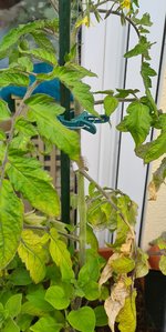 20230519_164837.jpg