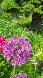 20230519_161205.webp