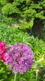 20230519_161202.webp