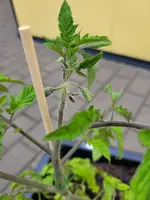 20230519_183104.webp