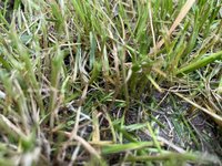 IMG_8185.jpeg
