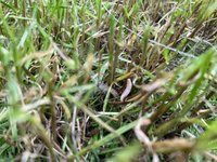 IMG_8184.jpeg