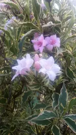 19.05.webp