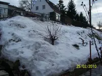 100_2294.webp