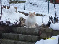 100_2300.webp