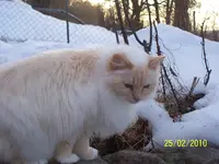 100_2301.webp