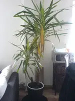 DSC00023.webp