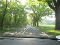 IMG_3751 Der Weg.webp