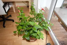 20100226121613.webp