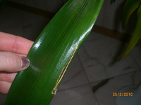 CIMG1944.webp