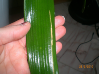 CIMG1945.webp
