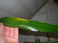 CIMG1946.webp