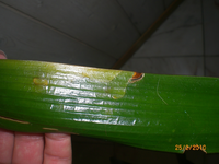 CIMG1947.webp