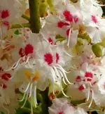 bilder 2.webp