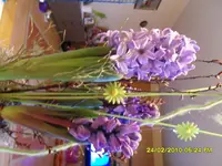 SDC10974.webp