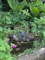 teich hoch.webp