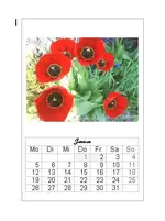 Kalender.webp