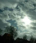 P1020762.webp