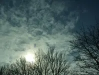 P1020767.webp