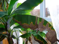 DSCN2569.webp