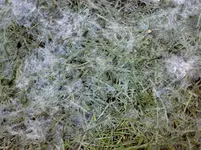 27022010529.webp