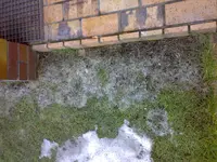 27022010530.webp