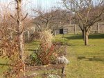 Garten Febr.2010 018.jpg