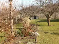 Garten Febr.2010 018.webp