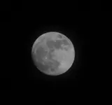 IMG_0004 (2).webp