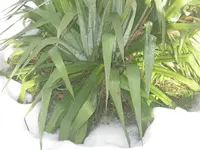 017.webp