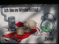 IMGP2930.webp
