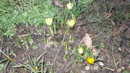 26.2.2010 030.webp