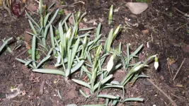 26.2.2010 031.webp