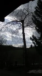 26.2.2010 033.webp