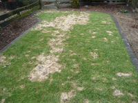 image001.webp