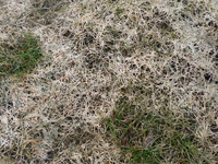 image002.webp