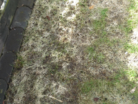 image003.webp