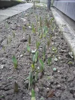 28.2.10 (10).webp