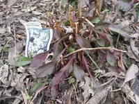 28.2.10 (5).webp