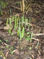 28.2.10 (7).webp