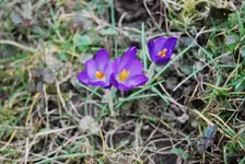 DSC_0042.webp