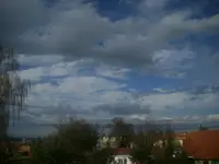 Frühling 28.02.2010 018.webp