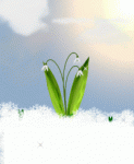 fruehling00032[1].gif